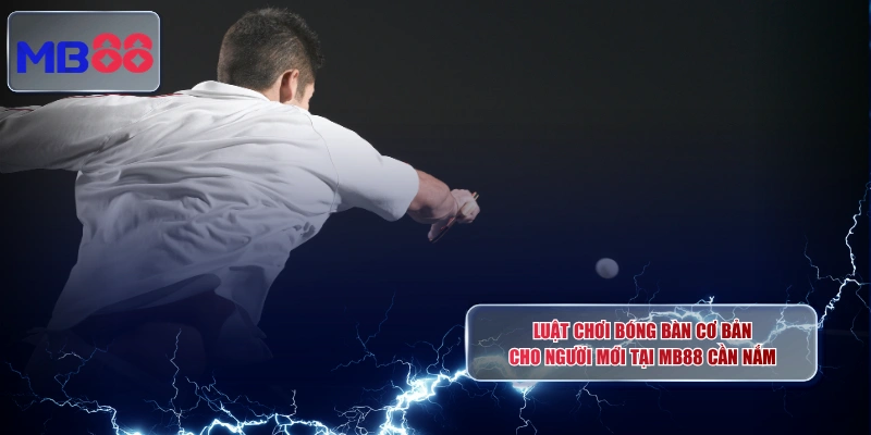Luật Chơi Bóng Bàn Cơ Bản Cho Người Mới Tại MB88 Cần Nắm