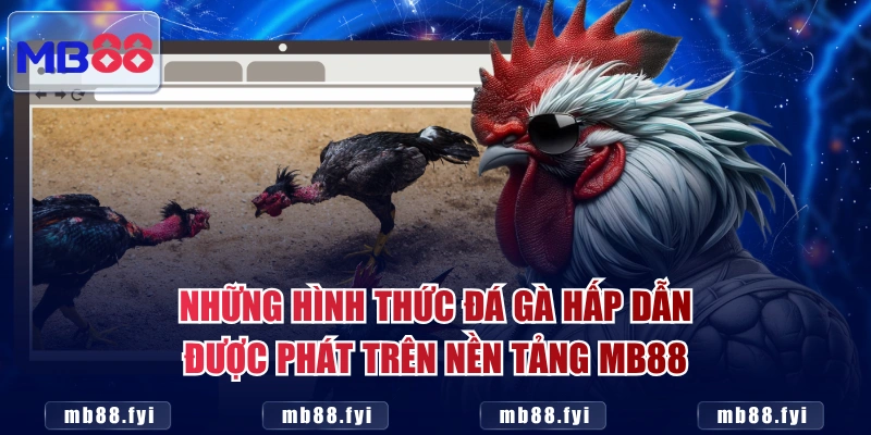 Những hình thức đá gà hấp dẫn được phát trên nền tảng MB88