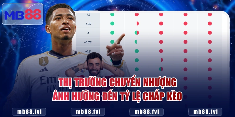 Thị trường chuyển nhượng ảnh hưởng đến tỷ lệ chấp kèo